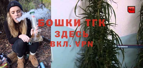 прущие грибы Володарск