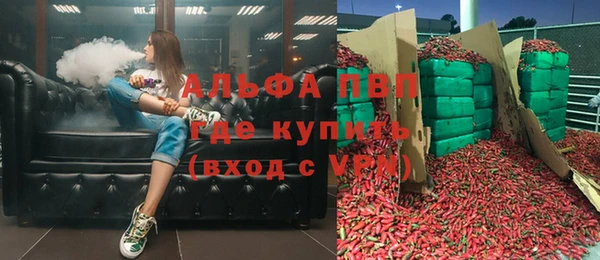 прущие грибы Володарск