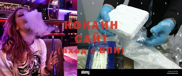прущие грибы Володарск