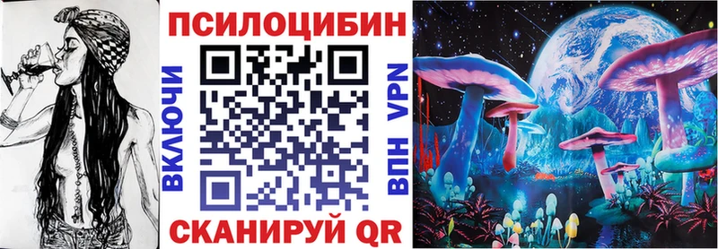 Купить закладки  Краснознаменск  Псилоцибиновые грибы мицелий 